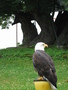 IMG_6070.JPG