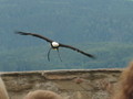 IMG_6082.JPG
