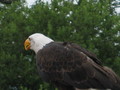 IMG_6091.JPG