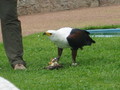 IMG_6095.JPG