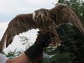 IMG_3968.jpg