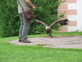 IMG_3982.jpg