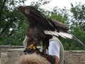 IMG_3986.jpg