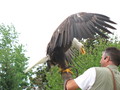 IMG_3990.jpg