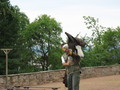 IMG_3993.jpg