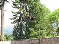IMG_4005.jpg