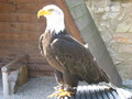 IMG_4010.jpg