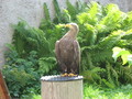 IMG_4028.jpg