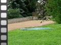MVI_3995.avi