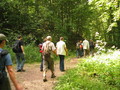 IMG_7247.JPG
