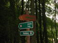 IMG_7274.JPG