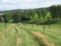 img_7676.jpg