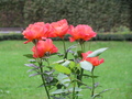 IMG_2746.JPG