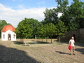 IMG_2768.JPG
