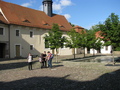 IMG_2770.JPG