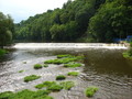 img_8619.jpg