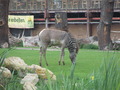 IMG_1582.JPG