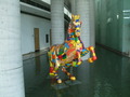 dscf5526.jpg