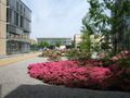 dscf5551.jpg