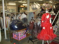 dscf5559.jpg