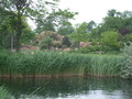 dscf5590.jpg