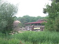 dscf5591.jpg