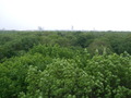 dscf5597.jpg
