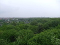 dscf5598.jpg