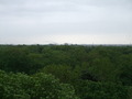 dscf5599.jpg