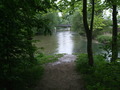 dscf5600.jpg