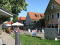 IMG_2235.JPG