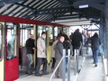 IMG_2397.JPG