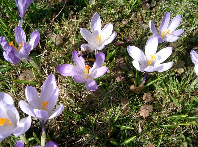 640x480/cimg0113.jpg