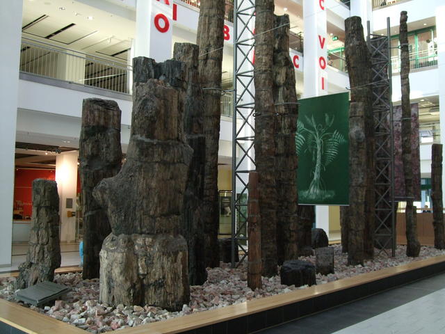 640x480/dscf3191.jpg