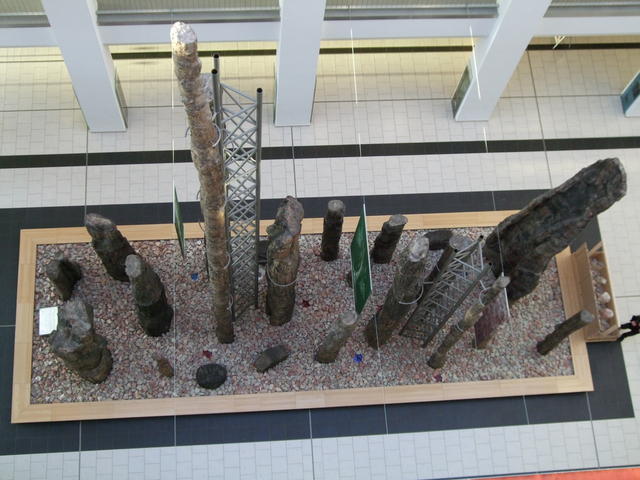 640x480/dscf3195.jpg