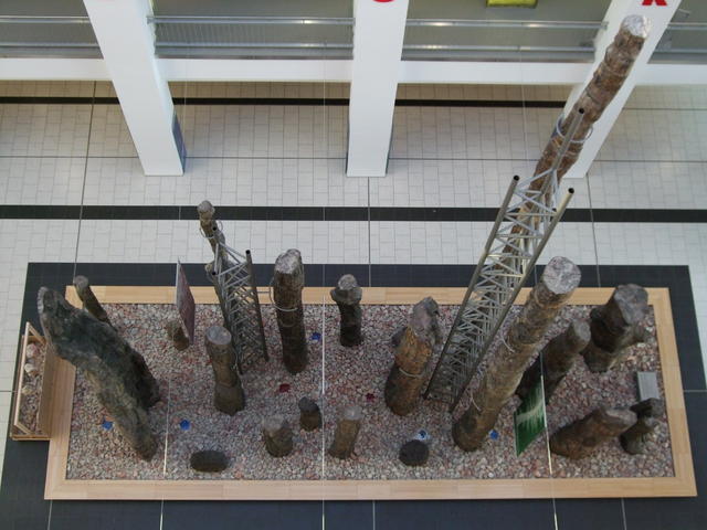 640x480/dscf3196.jpg