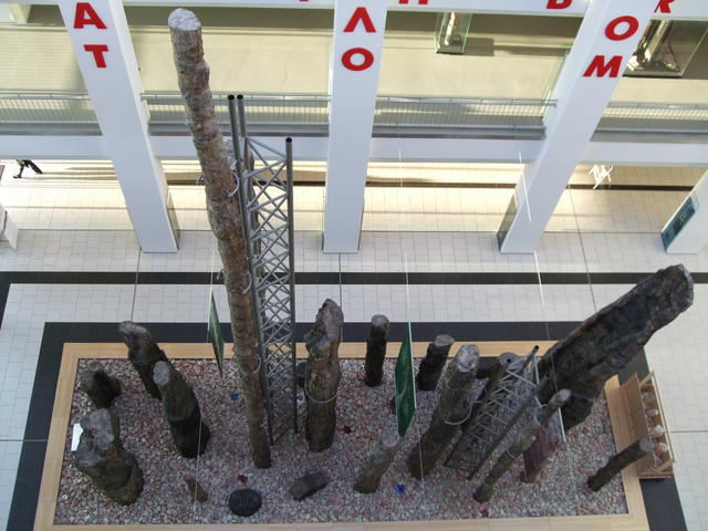 640x480/dscf3198.jpg