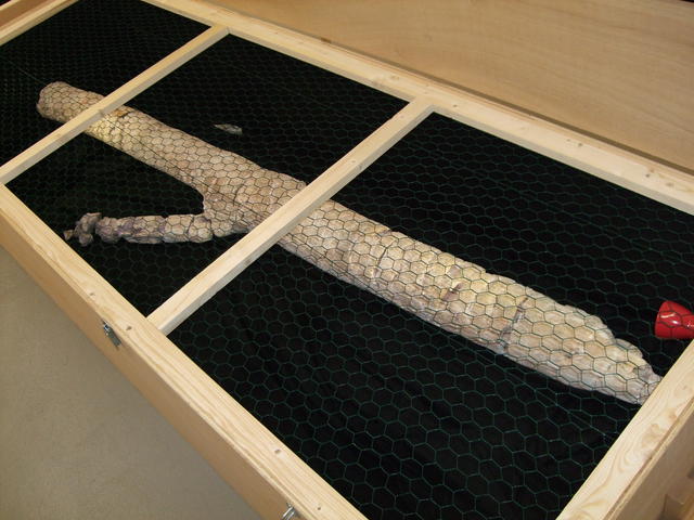640x480/dscf3201.jpg