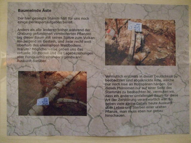 640x480/dscf3203.jpg