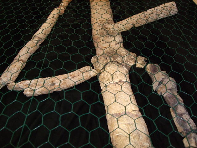 640x480/dscf3206.jpg