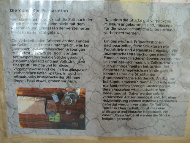 640x480/dscf3208.jpg
