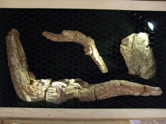 640x480/dscf3209.jpg