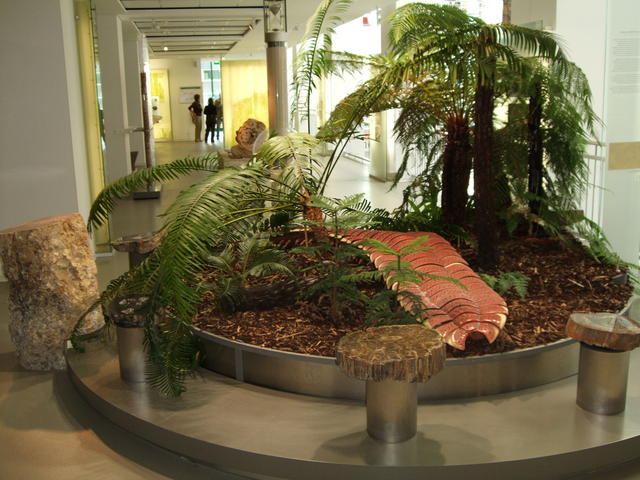 640x480/dscf3212.jpg