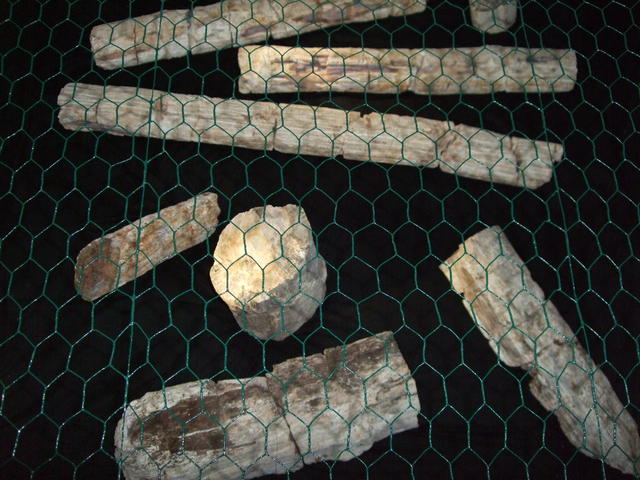 640x480/dscf3225.jpg