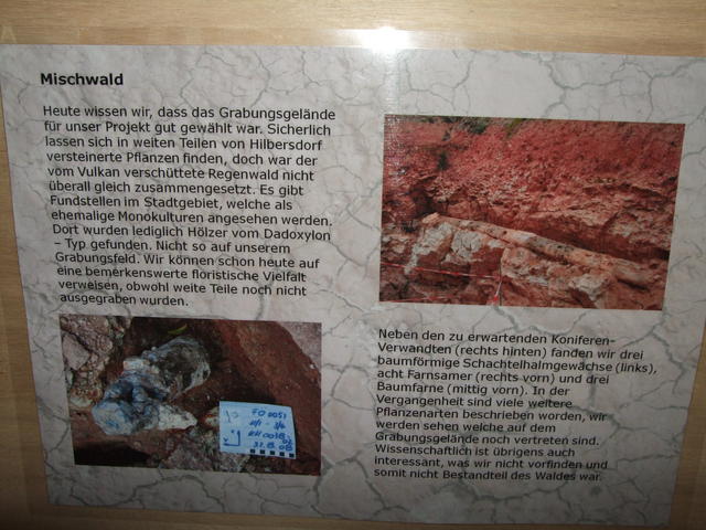 640x480/dscf3226.jpg