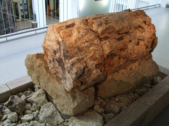 640x480/dscf3228.jpg