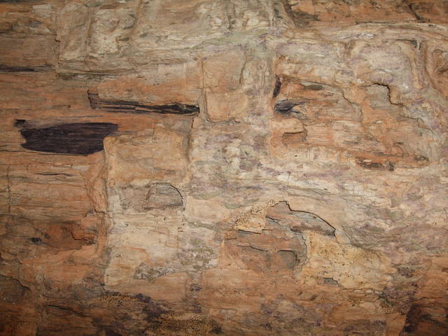 640x480/dscf3229.jpg