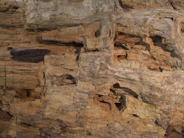 640x480/dscf3230.jpg