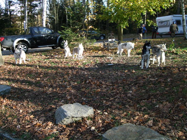640x480/dscf3264.jpg