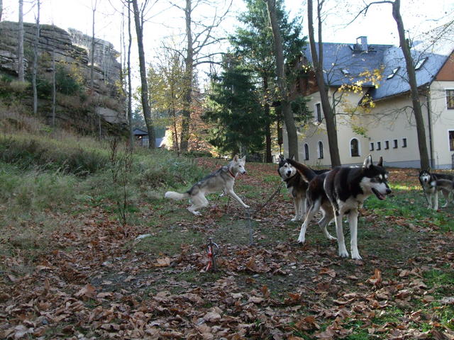 640x480/dscf3270.jpg